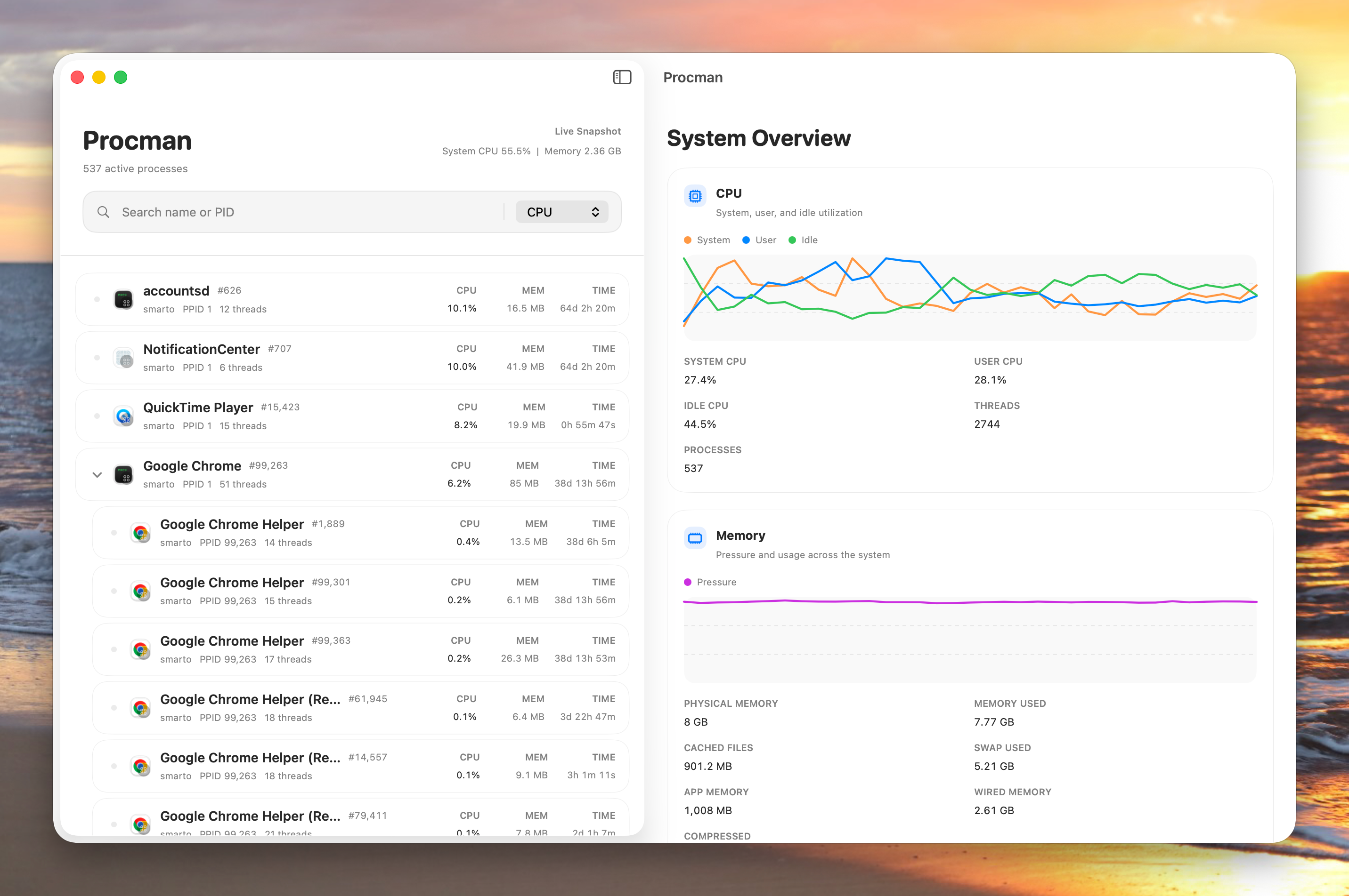 procMan App Interface